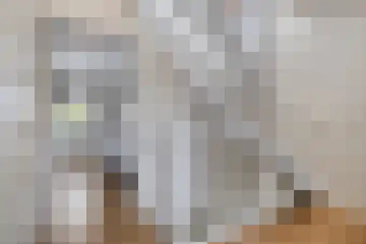 Leliestraat 3 Veenendaal thumbnail 33