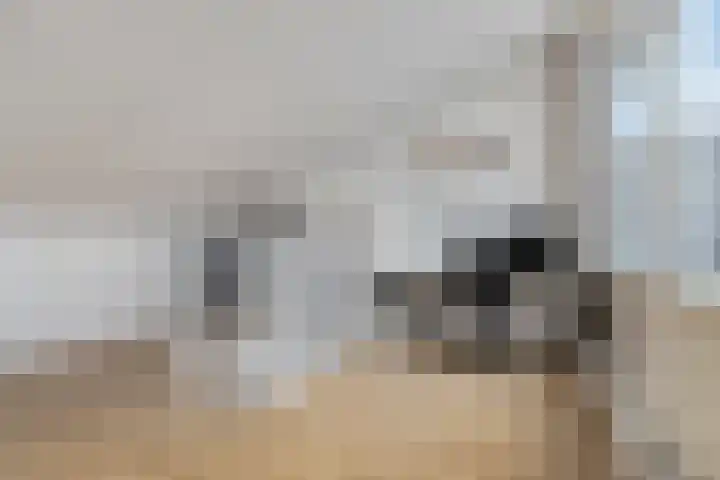 Leliestraat 3 Veenendaal thumbnail 34