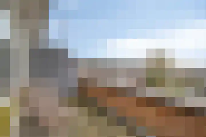 Leliestraat 3 Veenendaal thumbnail 36