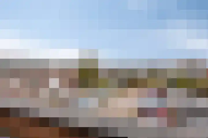 Leliestraat 3 Veenendaal thumbnail 38