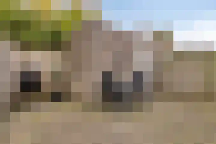 Leliestraat 3 Veenendaal thumbnail 4