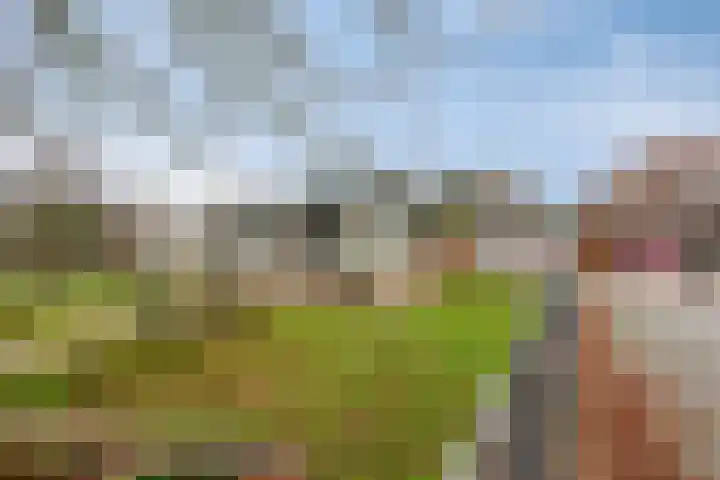 Leliestraat 3 Veenendaal thumbnail 43
