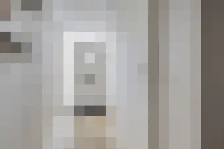 Leliestraat 3 Veenendaal thumbnail 6
