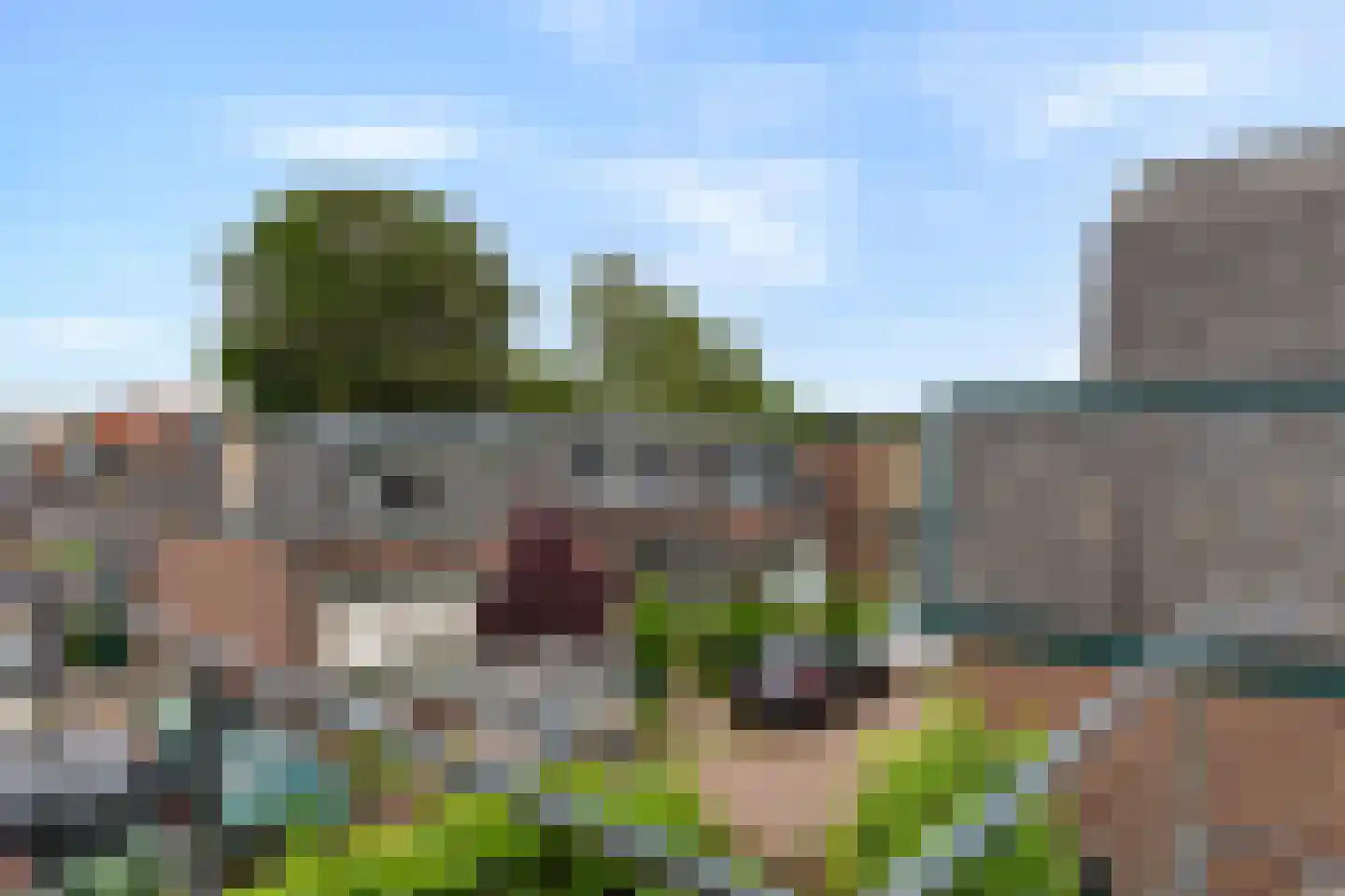 Leliestraat 30 Deventer thumbnail 31