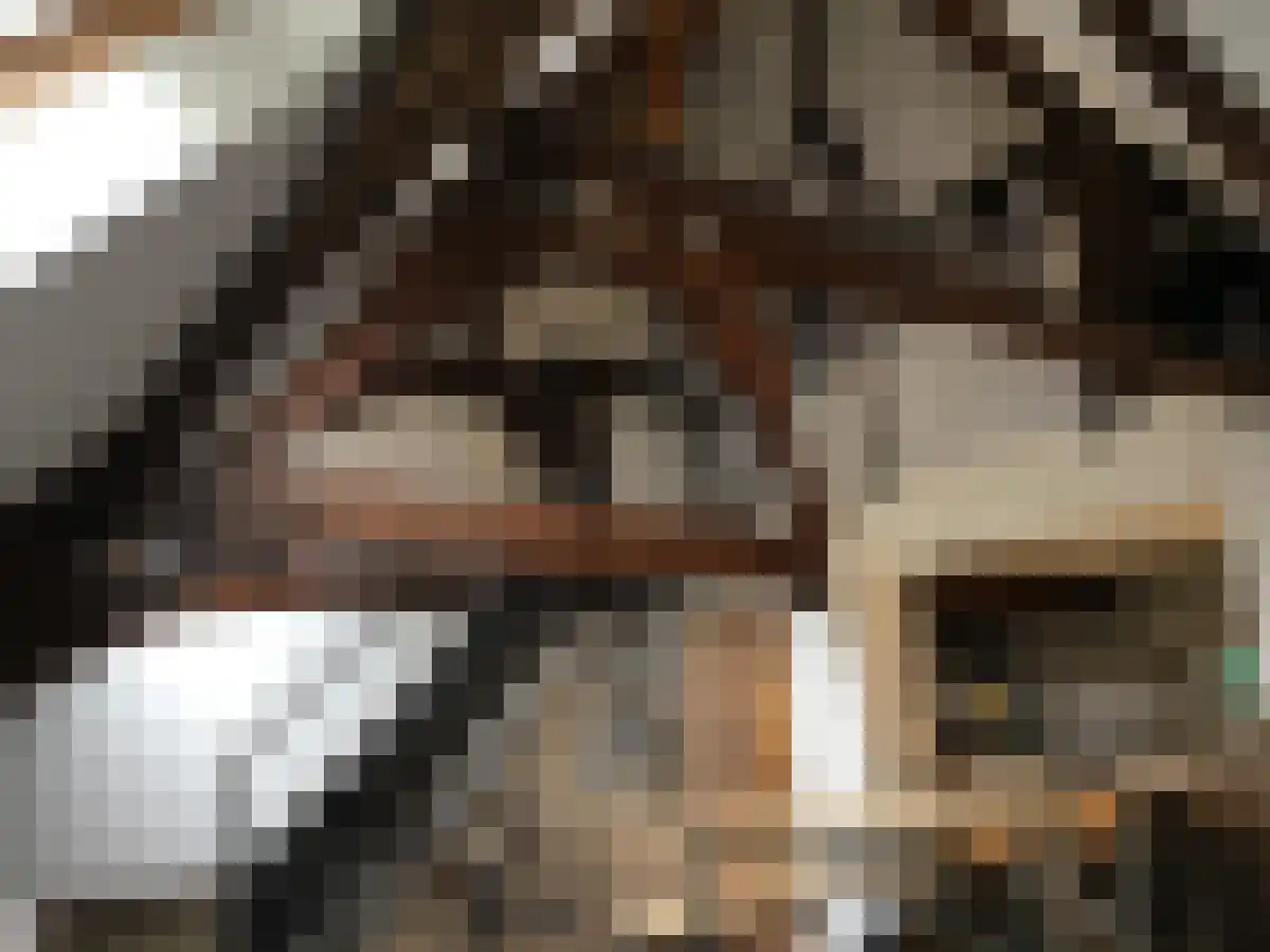 Leliestraat 30 Maastricht thumbnail 6