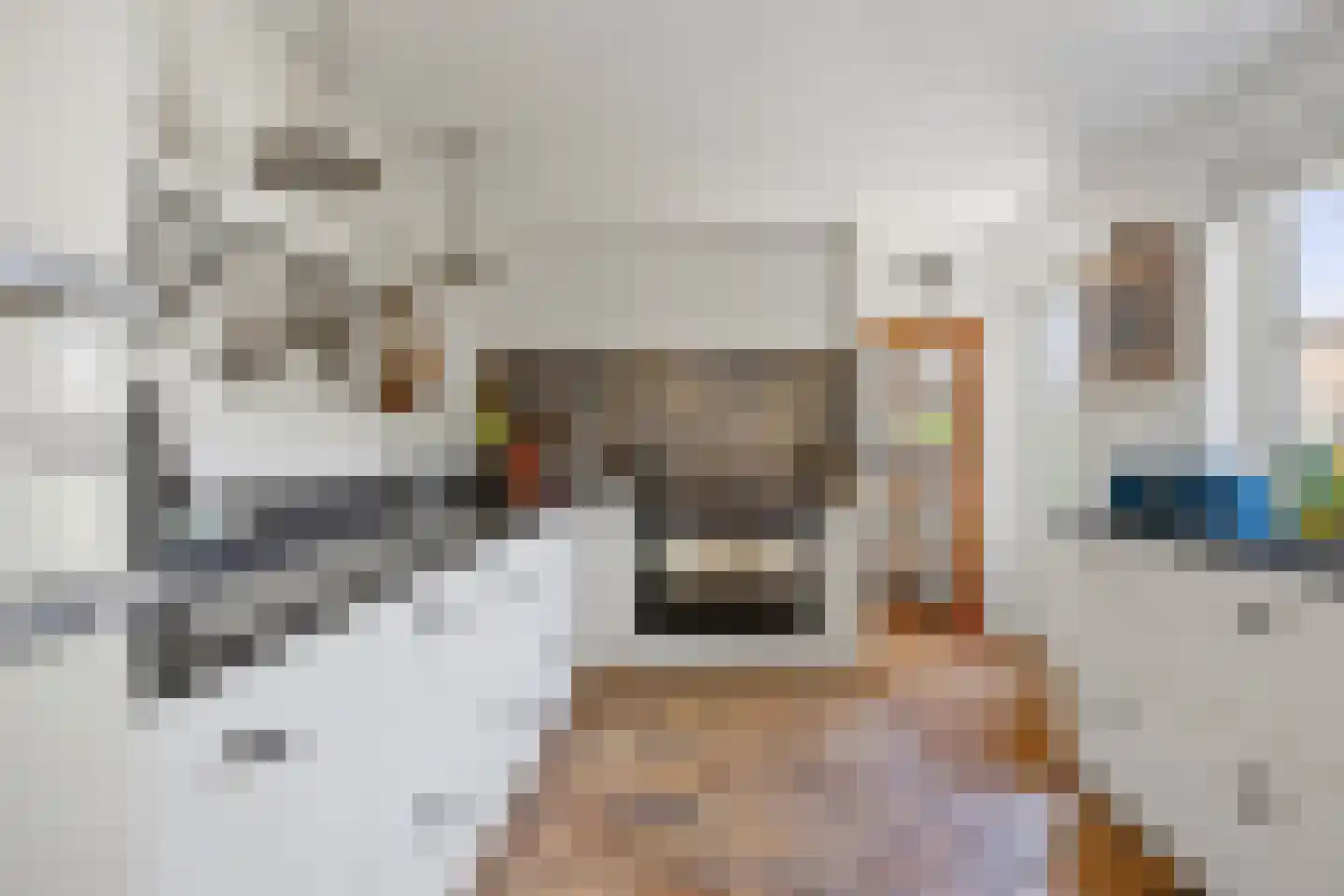 Leliestraat 31 Drunen thumbnail 15