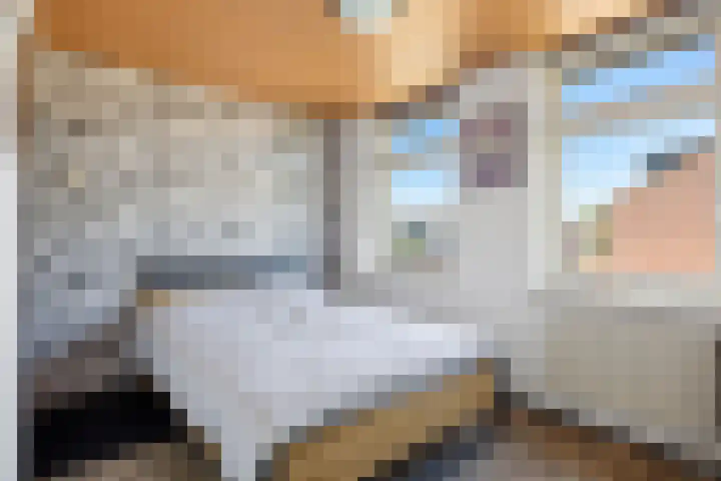Leliestraat 31 Drunen thumbnail 26