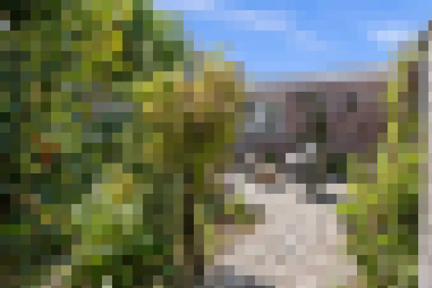 Leliestraat 31 Drunen thumbnail 32