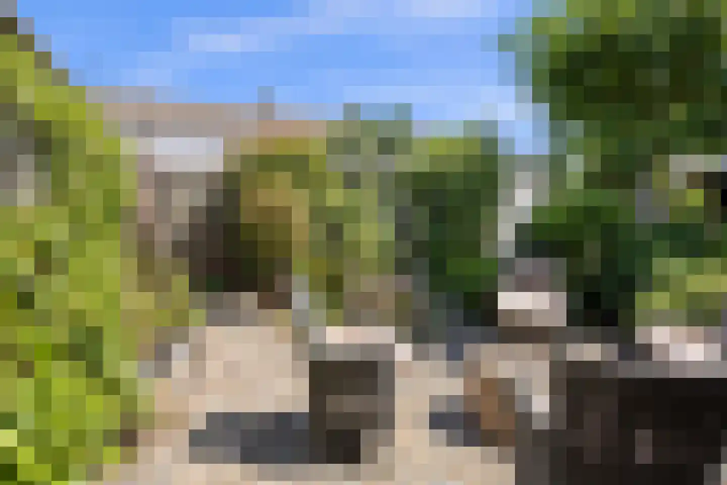 Leliestraat 31 Drunen thumbnail 34