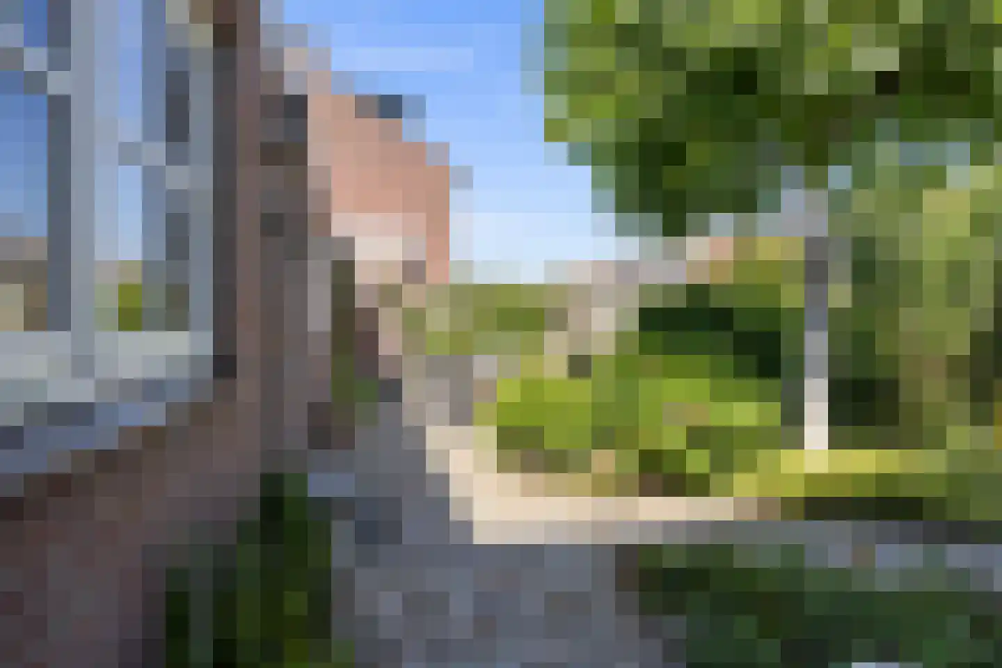Leliestraat 31 Drunen thumbnail 35