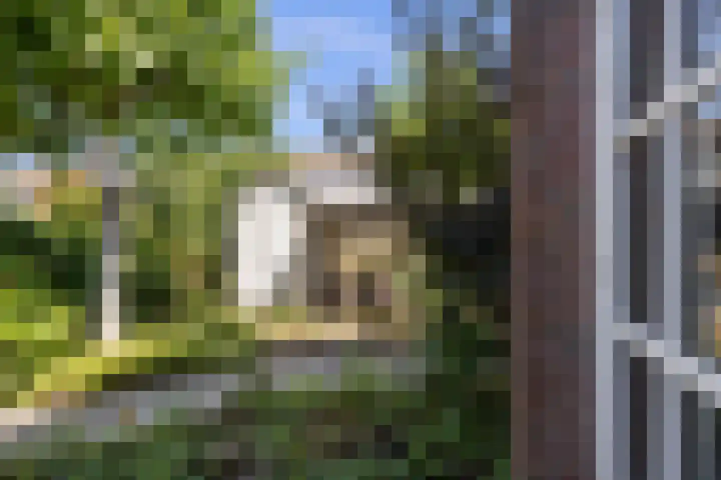 Leliestraat 31 Drunen thumbnail 36