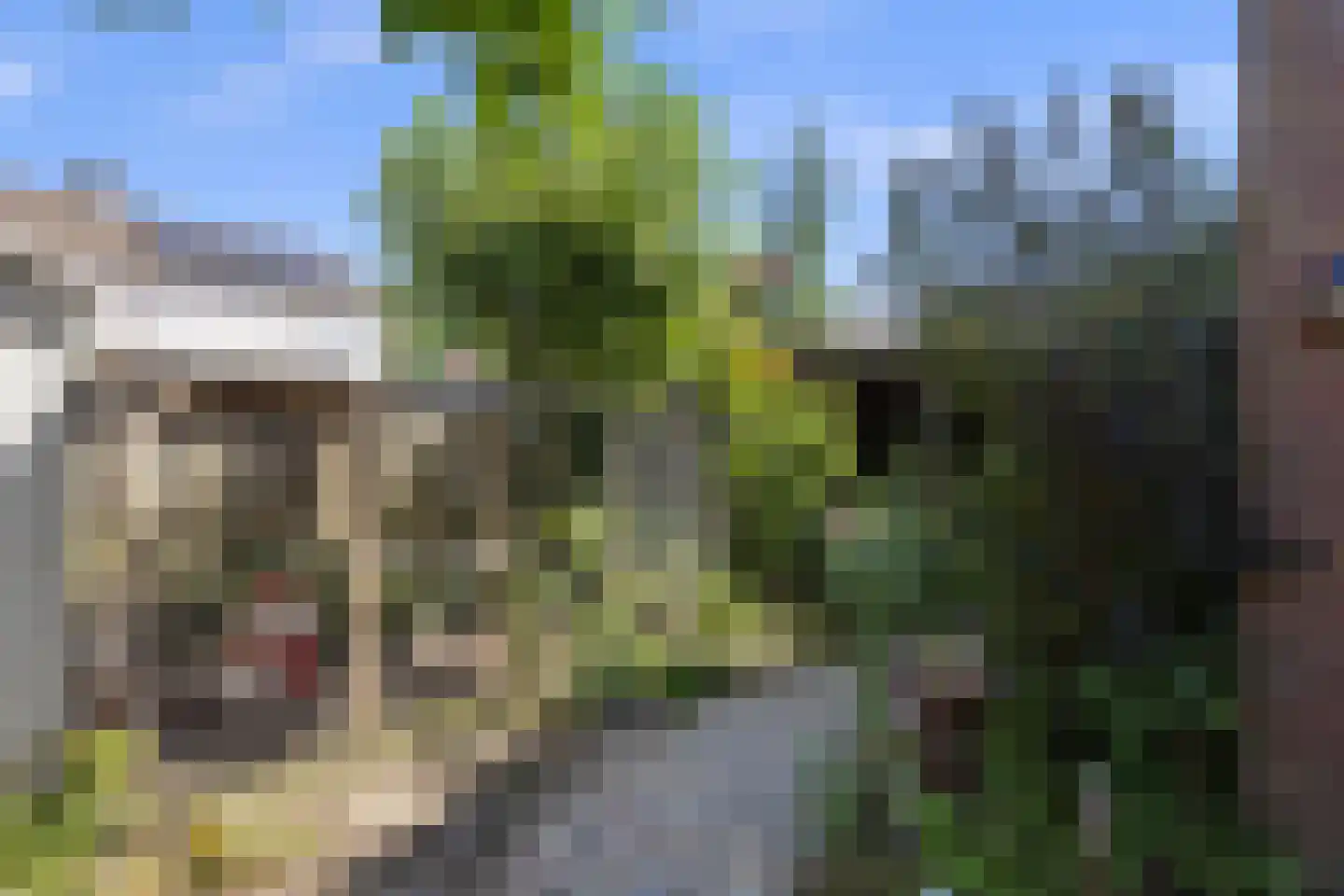 Leliestraat 31 Drunen thumbnail 38