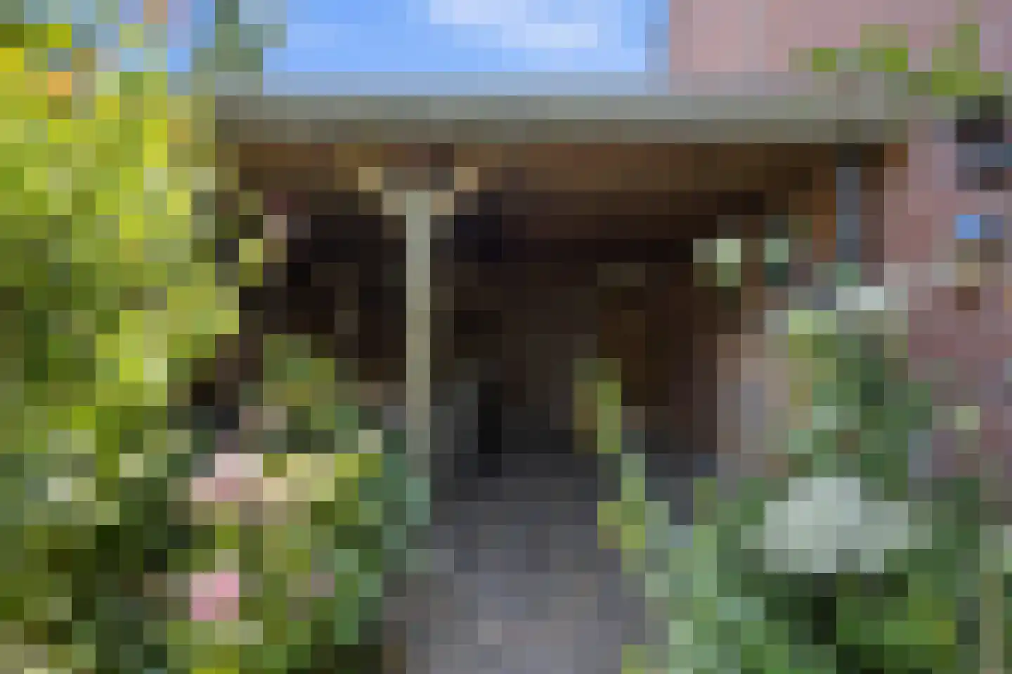 Leliestraat 31 Drunen thumbnail 39