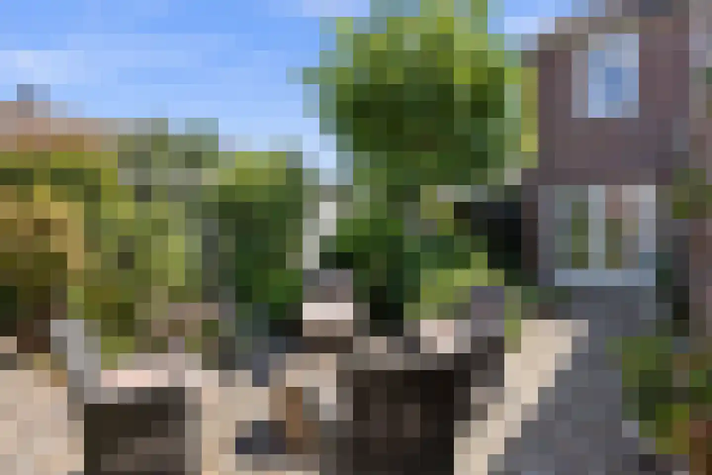 Leliestraat 31 Drunen thumbnail 4