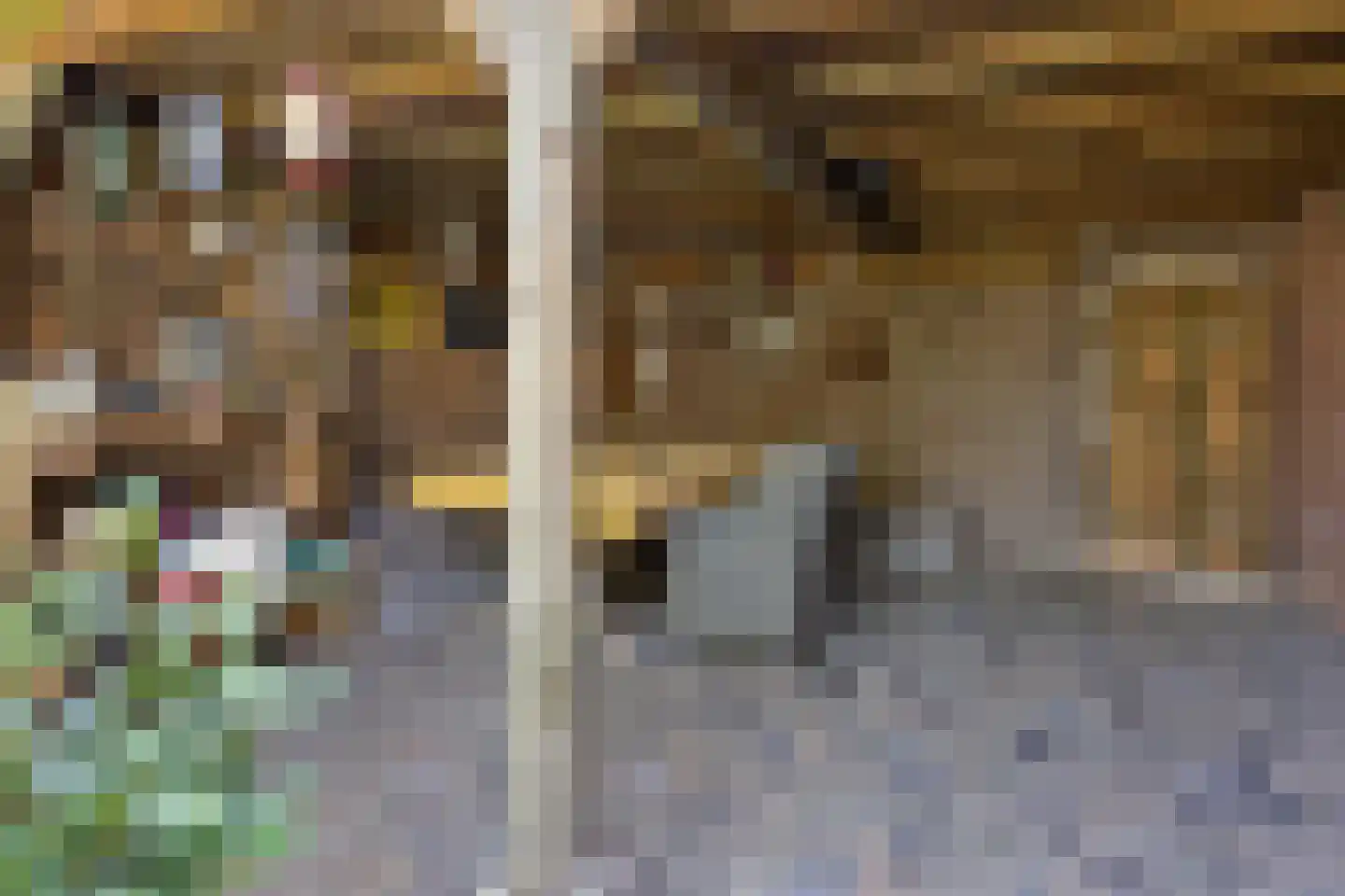 Leliestraat 31 Drunen thumbnail 40
