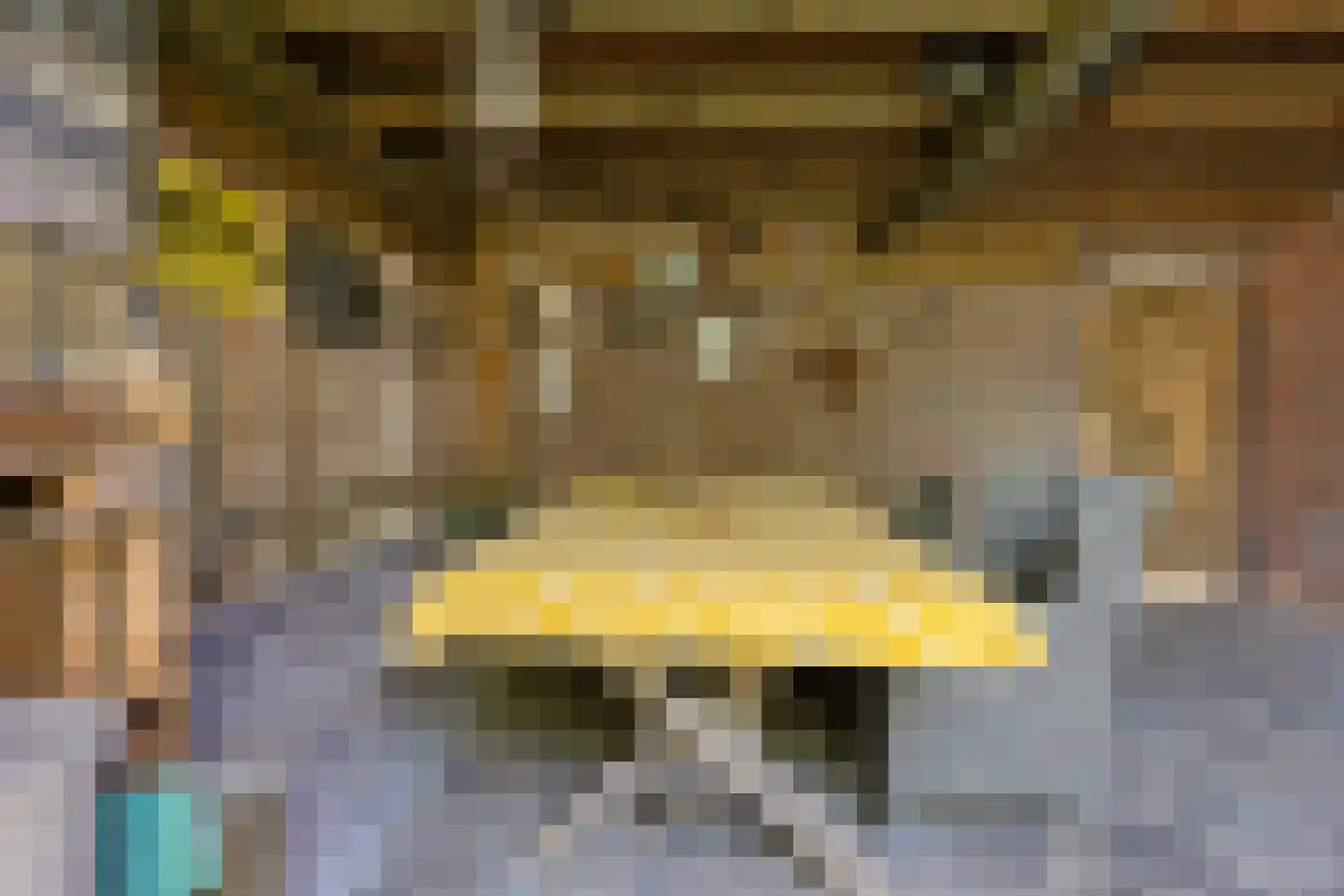 Leliestraat 31 Drunen thumbnail 41