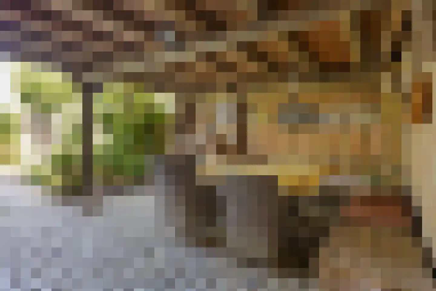Leliestraat 31 Drunen thumbnail 42