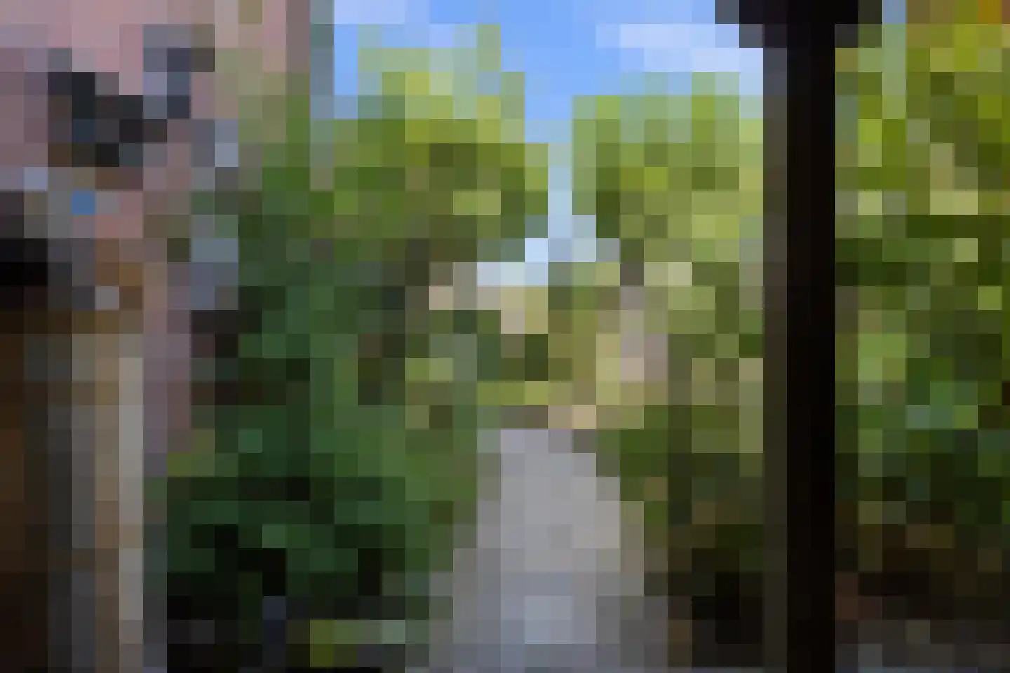 Leliestraat 31 Drunen thumbnail 43