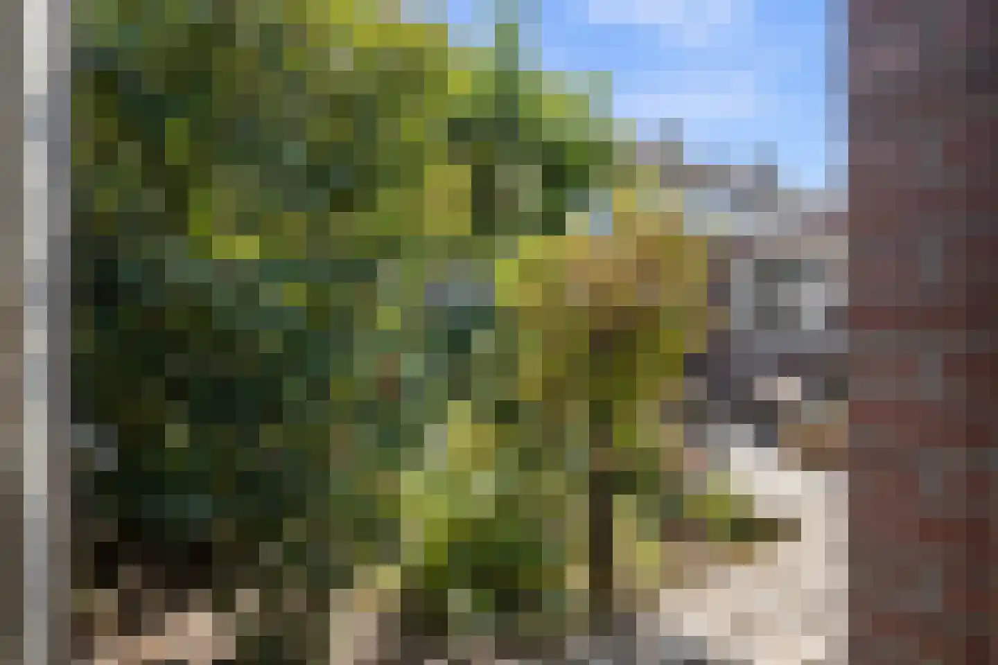 Leliestraat 31 Drunen thumbnail 44