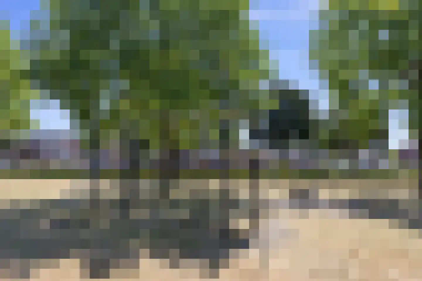 Leliestraat 31 Drunen thumbnail 49