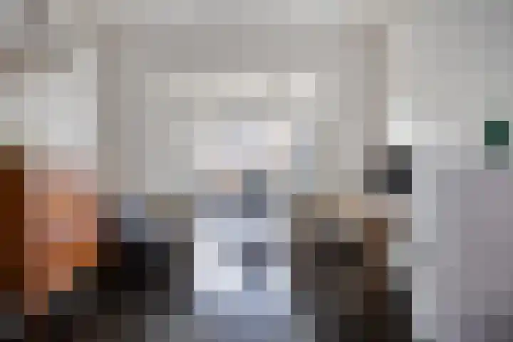 Leliestraat 31 Goes thumbnail 14