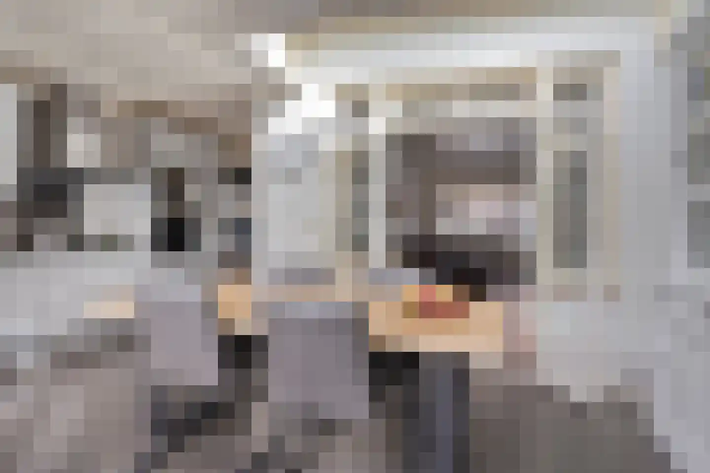 Leliestraat 31 Goes thumbnail 16
