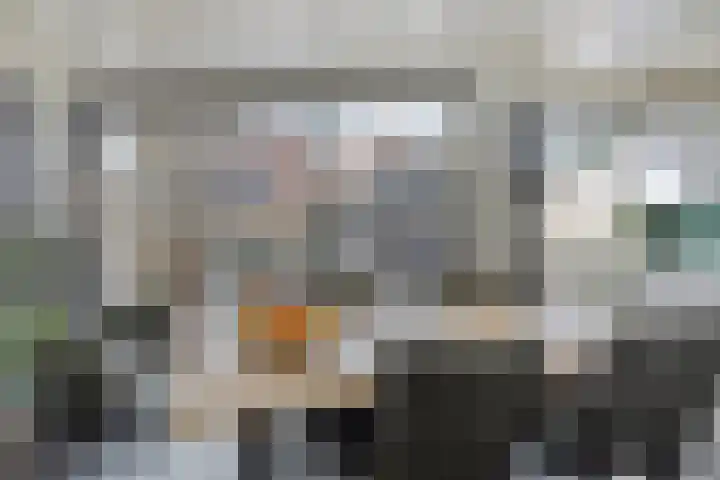 Leliestraat 31 Goes thumbnail 18
