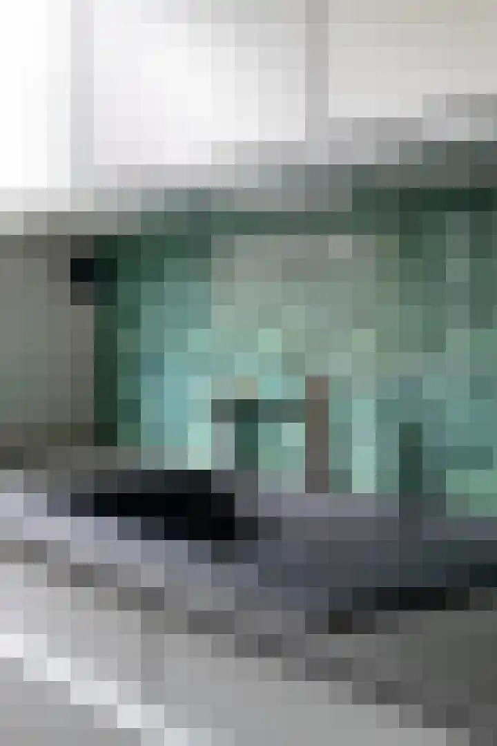 Leliestraat 31 Goes thumbnail 21