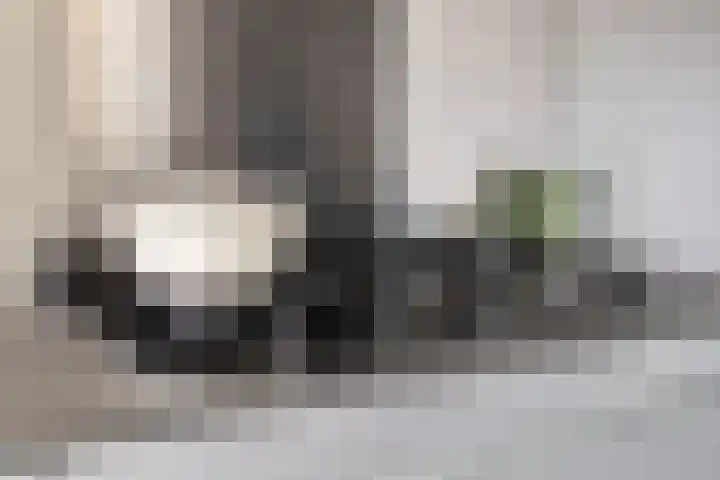 Leliestraat 31 Goes thumbnail 22
