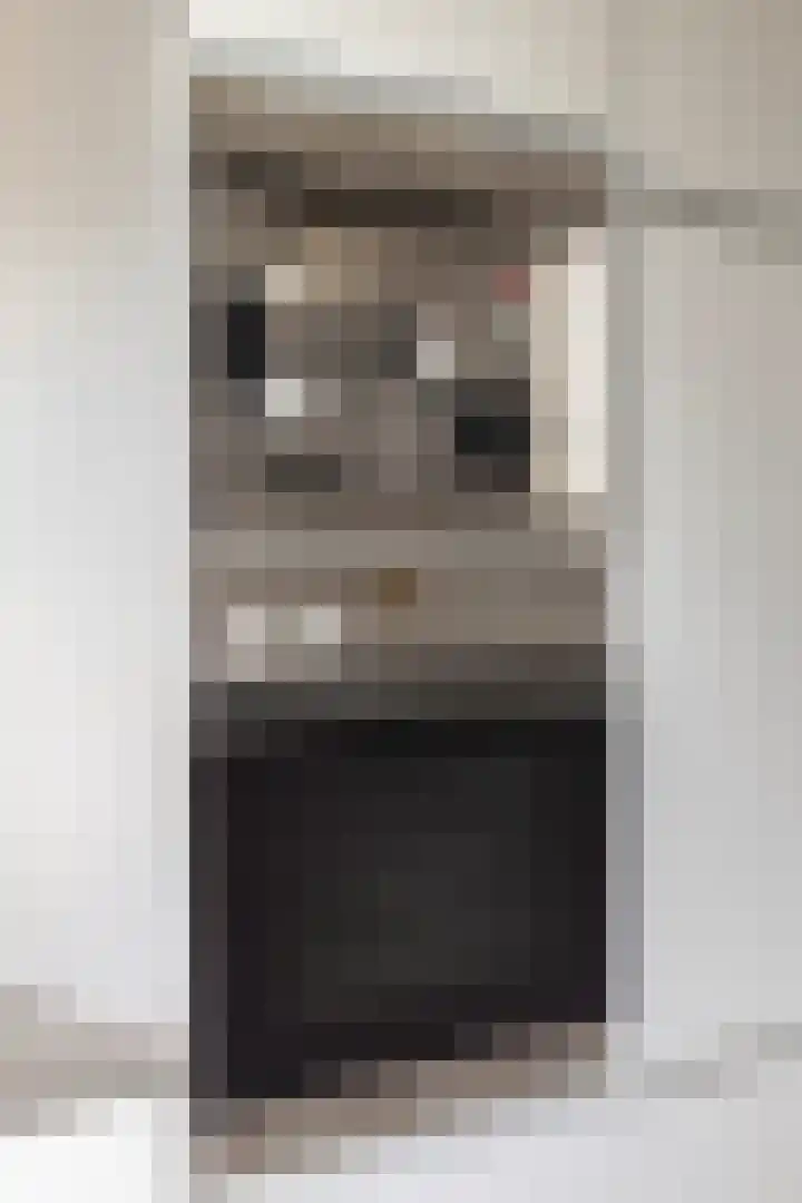 Leliestraat 31 Goes thumbnail 26
