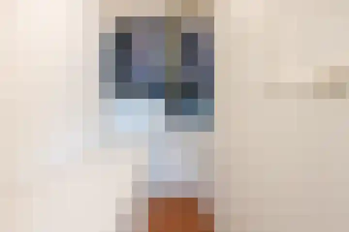 Leliestraat 31 Goes thumbnail 26