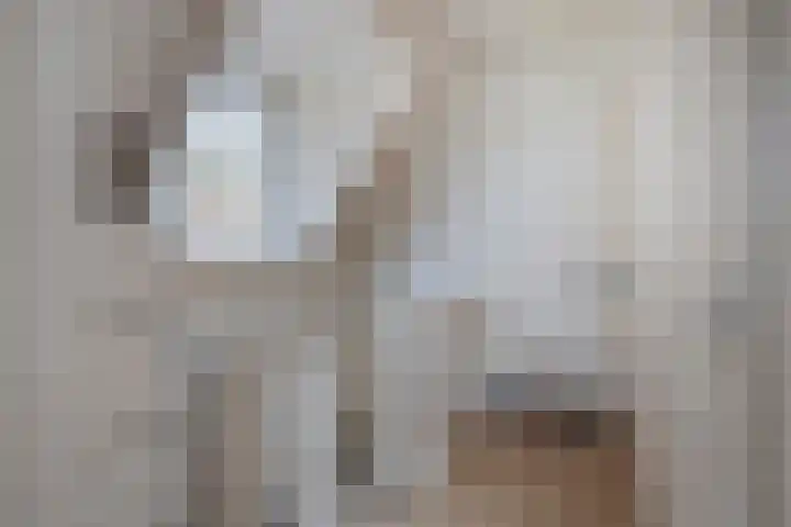Leliestraat 31 Goes thumbnail 27