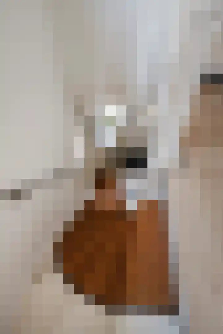 Leliestraat 31 Goes thumbnail 28