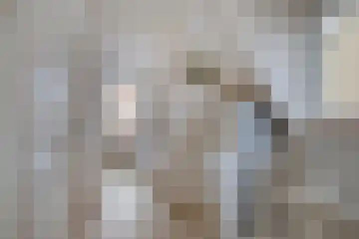 Leliestraat 31 Goes thumbnail 29