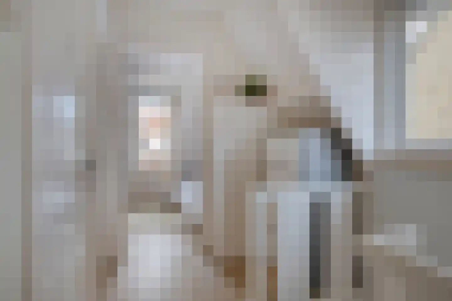 Leliestraat 31 Goes thumbnail 30