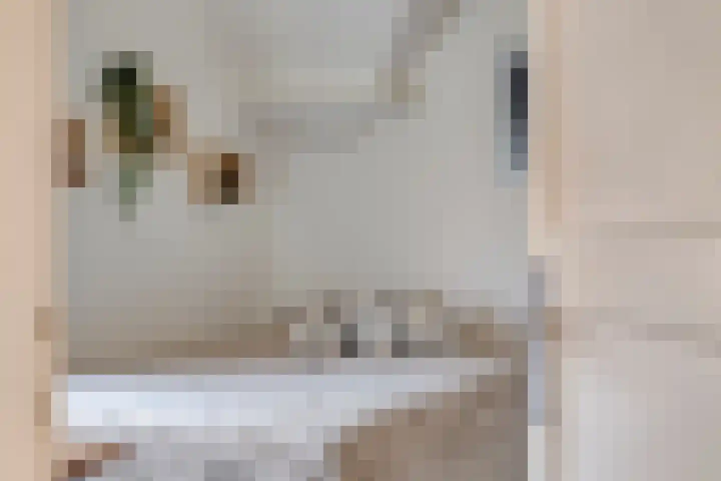 Leliestraat 31 Goes thumbnail 31
