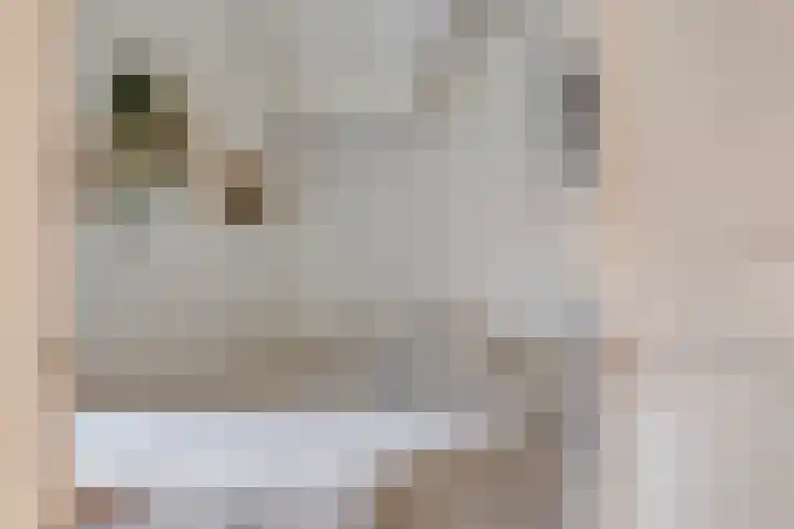 Leliestraat 31 Goes thumbnail 30