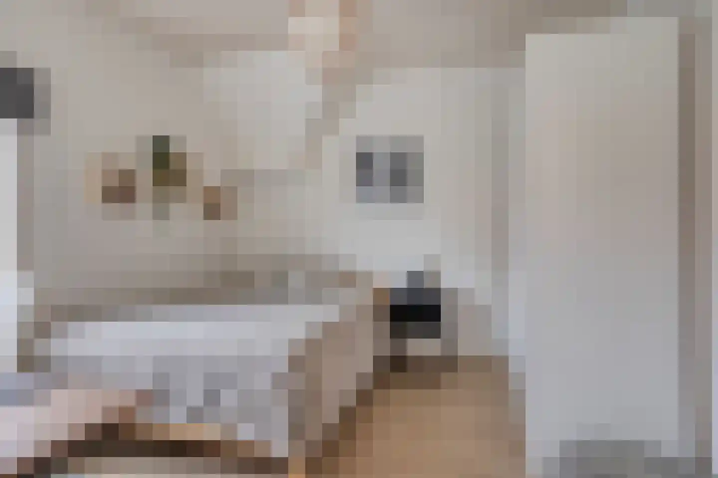 Leliestraat 31 Goes thumbnail 32