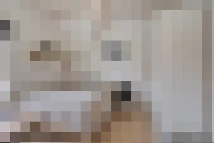 Leliestraat 31 Goes thumbnail 32