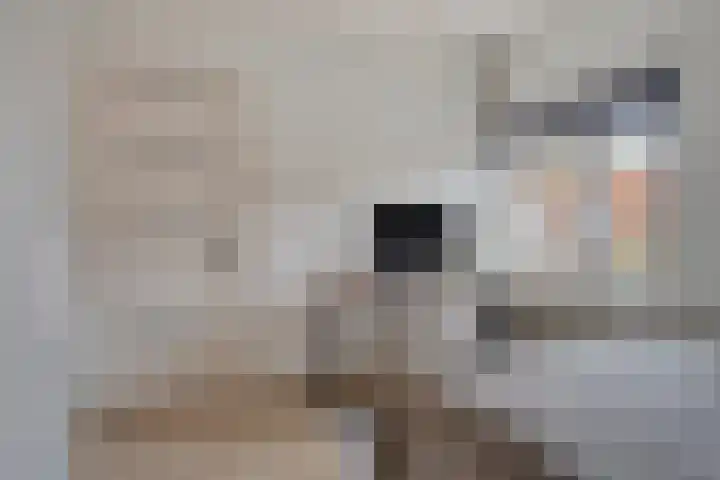 Leliestraat 31 Goes thumbnail 32