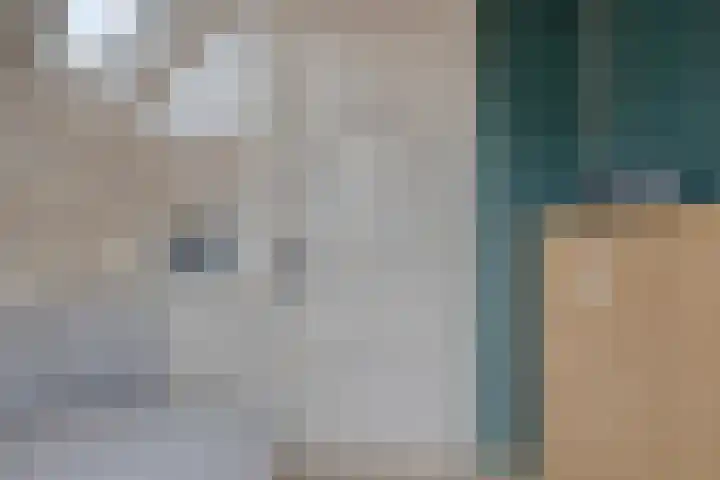 Leliestraat 31 Goes thumbnail 35