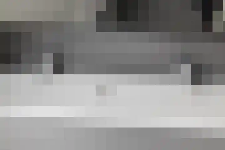 Leliestraat 31 Goes thumbnail 43