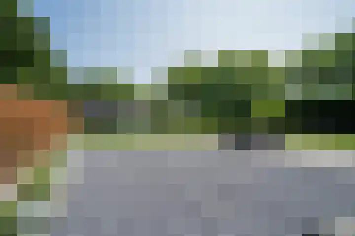 Leliestraat 31 Goes thumbnail 44