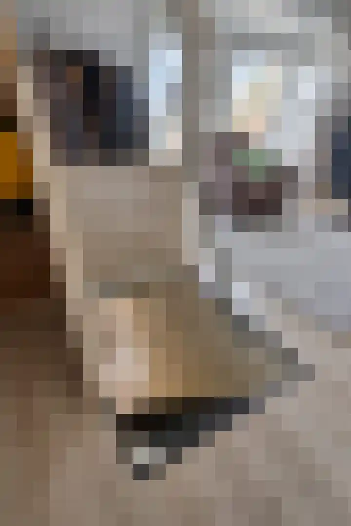 Leliestraat 31 Goes thumbnail 45