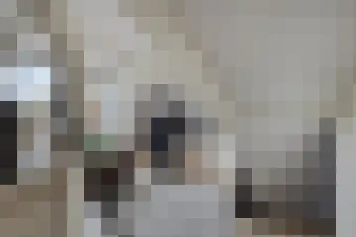 Leliestraat 31 Goes thumbnail 46
