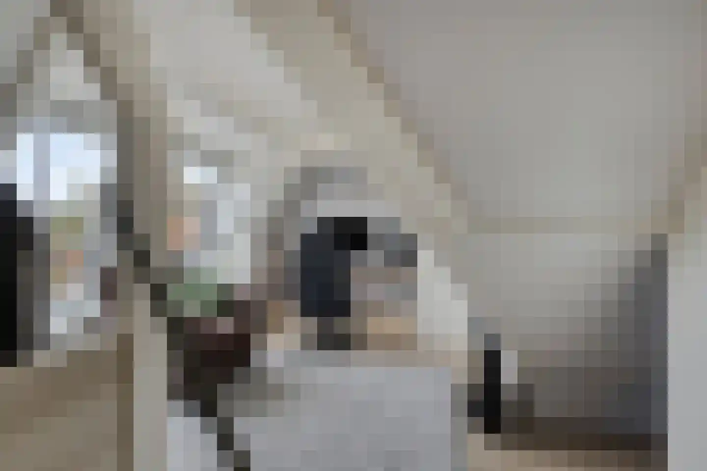 Leliestraat 31 Goes thumbnail 47