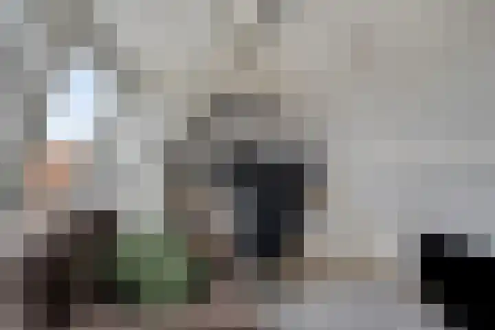 Leliestraat 31 Goes thumbnail 48