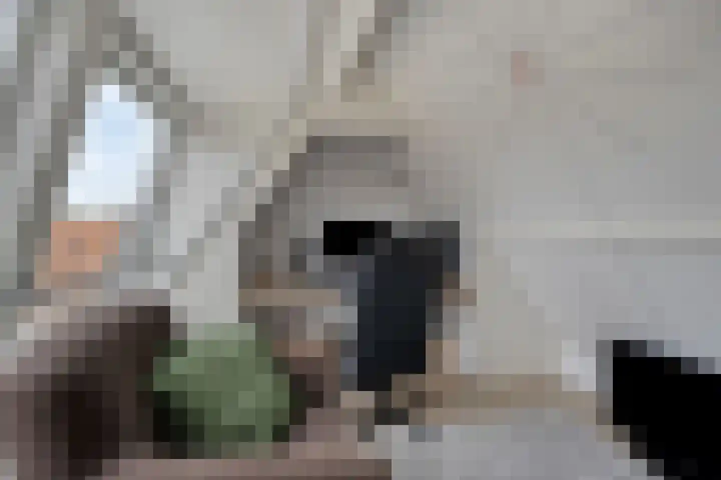 Leliestraat 31 Goes thumbnail 48