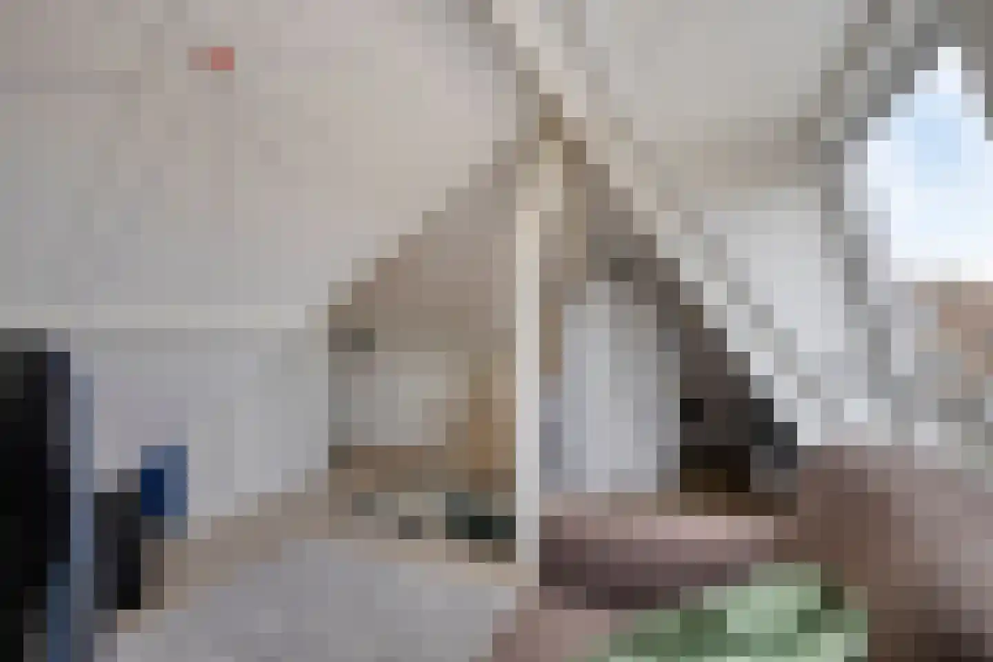 Leliestraat 31 Goes thumbnail 49