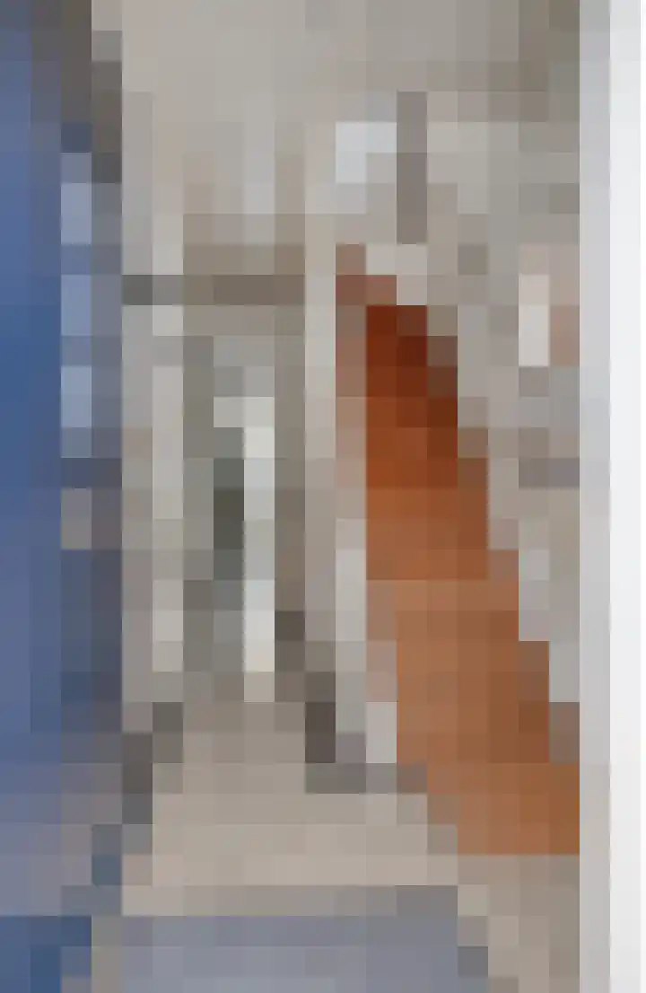 Leliestraat 31 Goes thumbnail 5